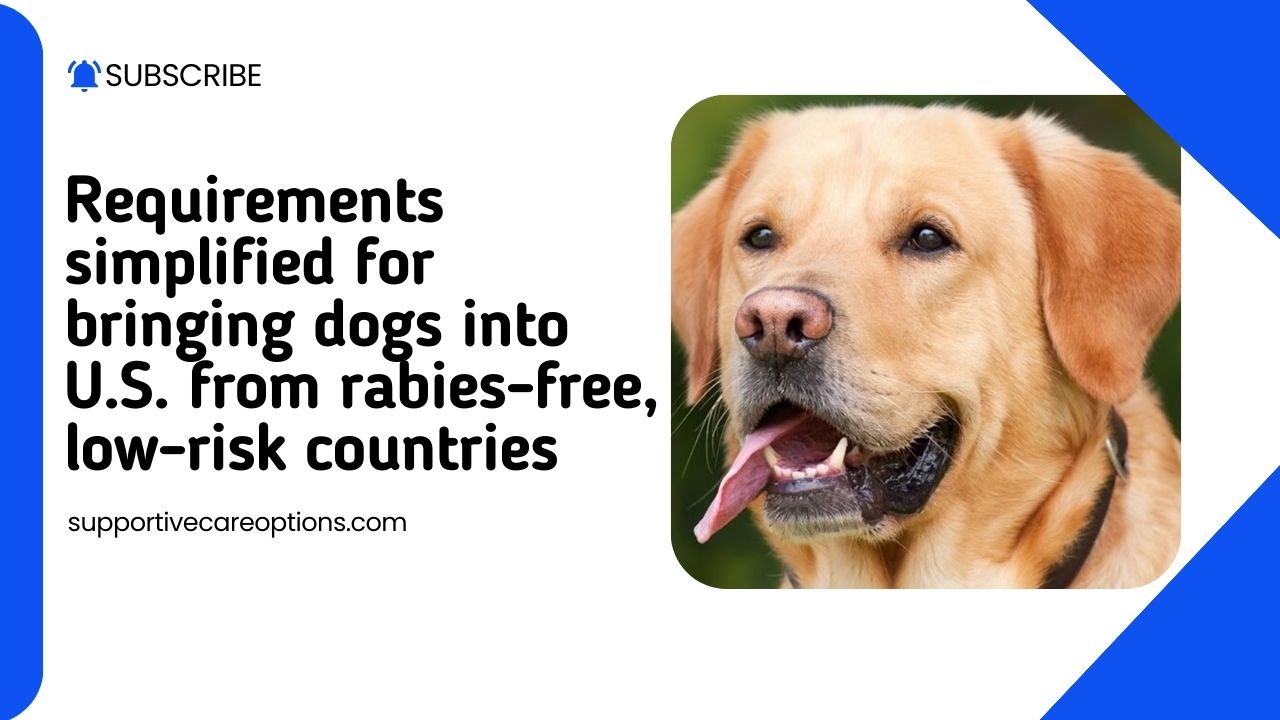 Requirements simplified for bringing dogs into U.S. from rabies-free, low-risk countries