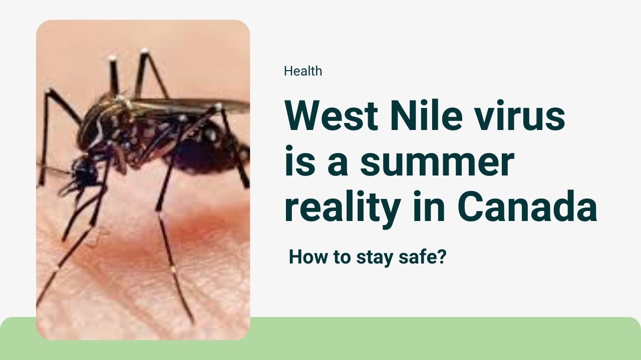 West Nile virus is a summer reality in Canada. How to stay secure